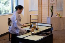 DSC04772-DxO_DeepPRIME-XD2s