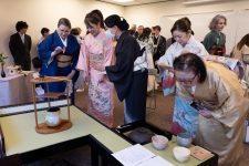 DSC04890-DxO_DeepPRIME-XD2s