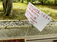 20241005_204147366_iOS