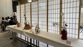 20250614_180938312_iOS