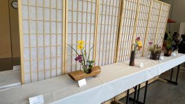 20250614_180956271_iOS