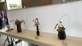 20250614_181006662_iOS