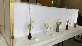 20250614_181017438_iOS