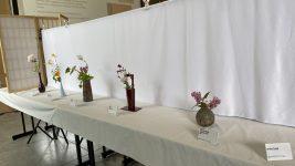 20250614_181033532_iOS