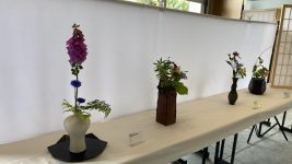 20250614_181048512_iOS