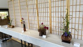 20250614_181059174_iOS