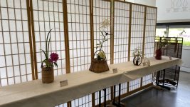 20250614_181125142_iOS