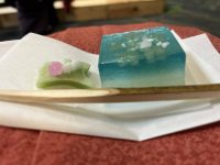 465806163_1228615708209950_2329747355234020900_n