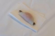 DSC04579-DxO_DeepPRIME-XD2s