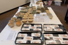 DSC04624-DxO_DeepPRIME-XD2s