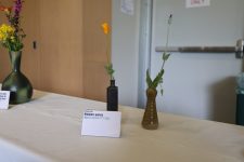 IMG_1131