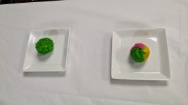 PXL_20250921_165727129