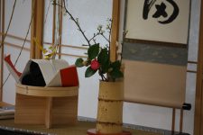 Tatami1