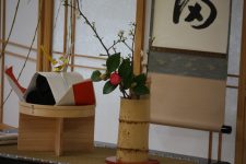 Tatami1